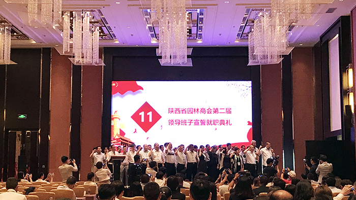 1528511560904088747.jpg 3.jpg